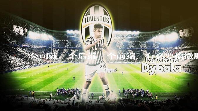 公司就一个后端一个前端，有必要搞微服务吗？