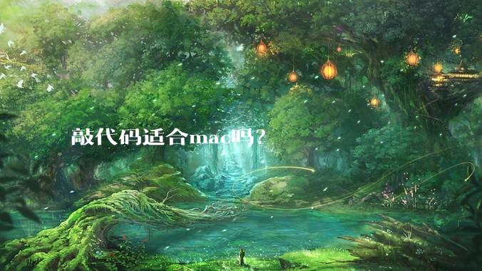 敲代码适合mac吗？