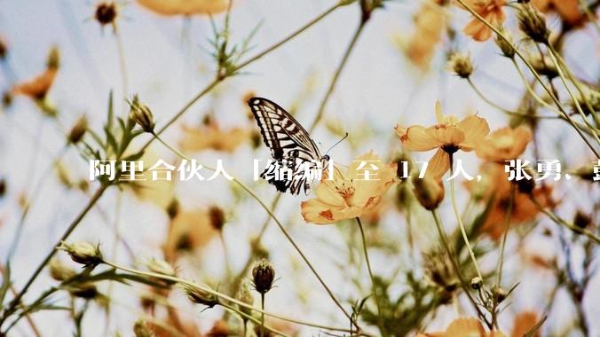 阿里合伙人「缩编」至 17 人，张勇、彭蕾、俞永福等 9 人退出，对阿里业务及企业管理有哪些影响？