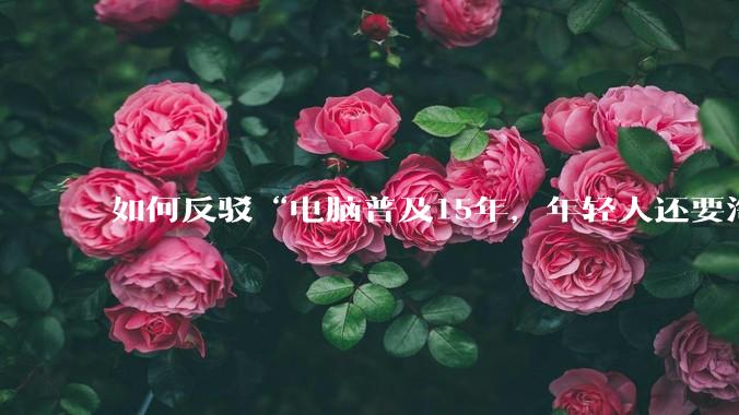 如何反驳“电脑普及15年，年轻人还要淘宝代装steam”?