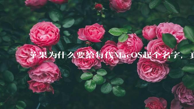 苹果为什么要给每代MacOS起个名字，真以为人们记得住分得清吗？