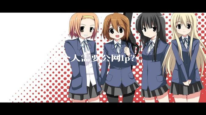 为什么个人需要公网ip？