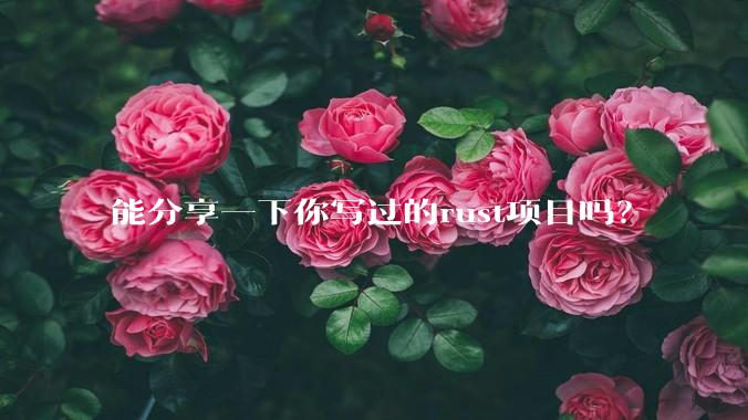 能分享一下你写过的rust项目吗？