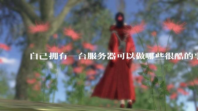 自己拥有一台服务器可以做哪些很酷的事情？