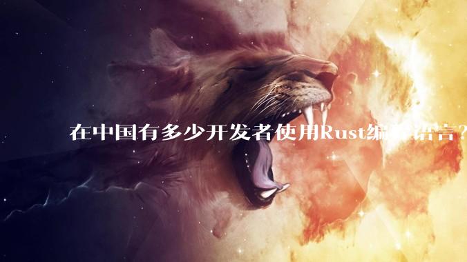 在中国有多少开发者使用Rust编程语言？