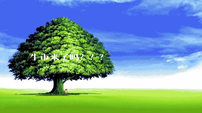 牛市来了吗？？？