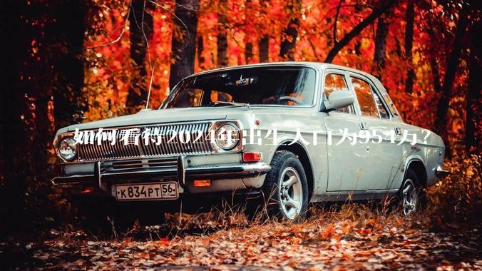 如何看待2024年出生人口为954万？