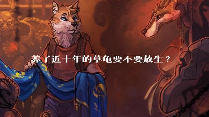 养了近十年的草龟要不要放生?