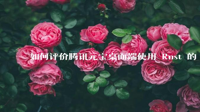 如何评价腾讯元宝桌面端使用 Rust 的 Tauri 框架？