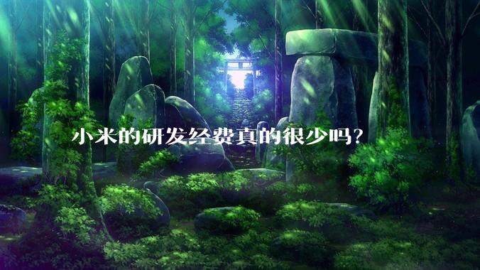 小米的研发经费真的很少吗？