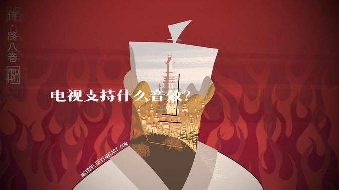 电视支持什么音效？