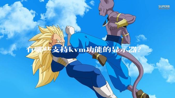 有哪些支持kvm功能的显示器？