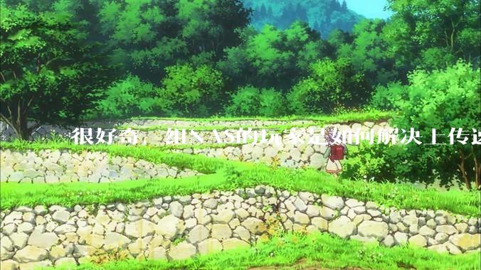 很好奇，组NAS的玩家是如何解决上传速率的问题?