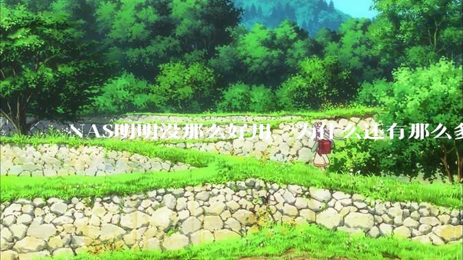 NAS明明没那么好用，为什么还有那么多人坚持选择使用？