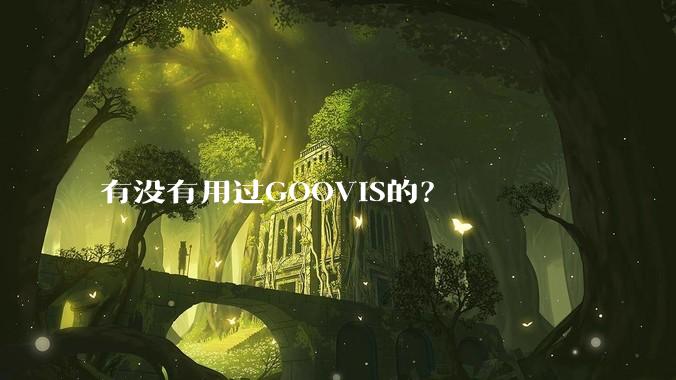 有没有用过GOOVIS的？