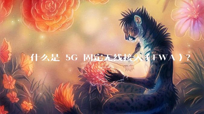 什么是 5G 固定无线接入（FWA）？