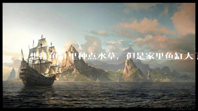 想往鱼缸里种点水草，但是家里鱼缸大了买水草泥或者底砂太贵了，有没有生活中可以替代的物品或其他建议？