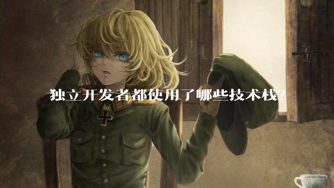 独立开发者都使用了哪些技术栈？