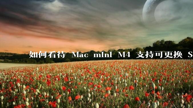 如何看待 Mac mini M4 支持可更换 SSD？