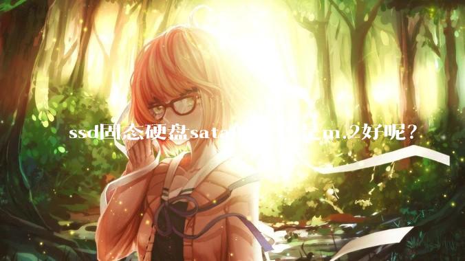 ssd固态硬盘sata的好还是m.2好呢？