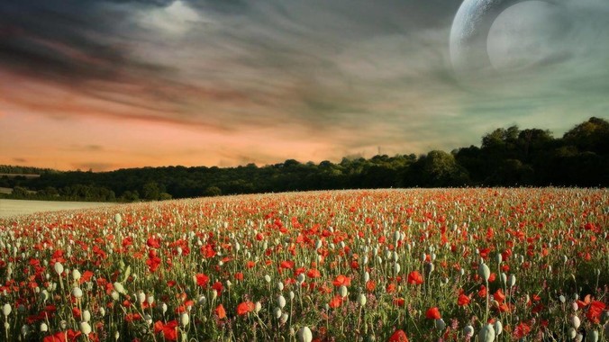 KVM显示器有哪些?